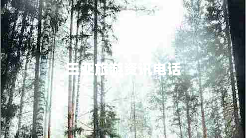 三亞旅游資訊電話