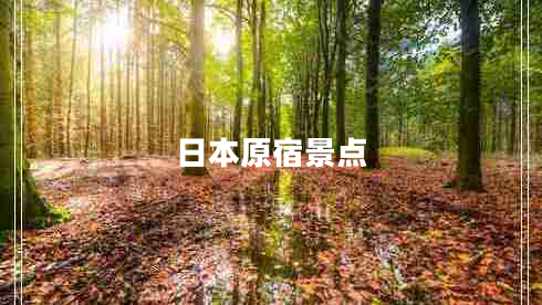 日本原宿景點
