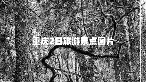 重慶2日旅游景點圖片