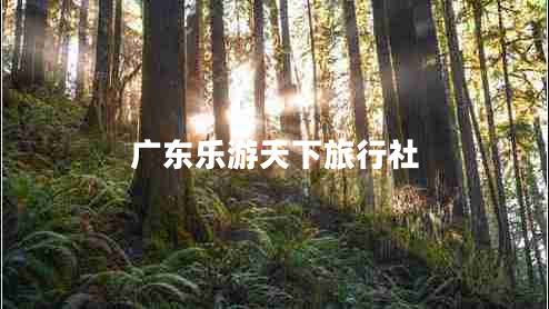 廣東樂(lè)游天下旅行社