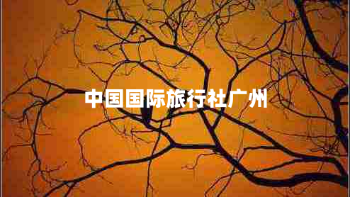 中國(guó)國(guó)際旅行社廣州