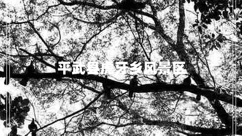 平武縣虎牙鄉(xiāng)風景區(qū)