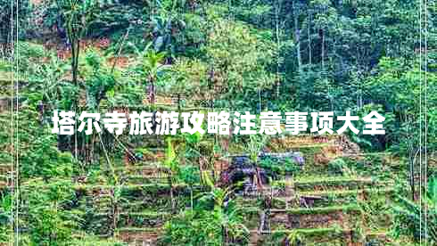 塔爾寺旅游攻略注意事項(xiàng)大全