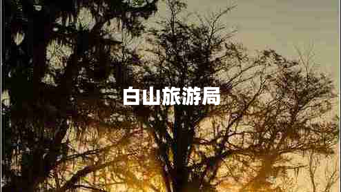 白山旅游局 白山旅游局
