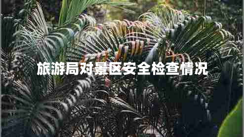 旅游局對(duì)景區(qū)安全檢查情況
