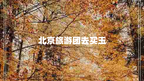 北京旅游團(tuán)去買玉
