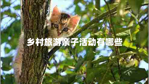 鄉(xiāng)村旅游親子活動有哪些