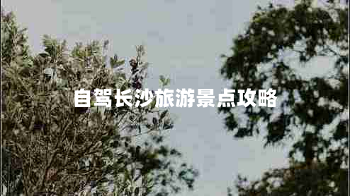 自駕長沙旅游景點攻略