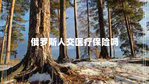 俄羅斯人交醫(yī)療保險(xiǎn)嗎