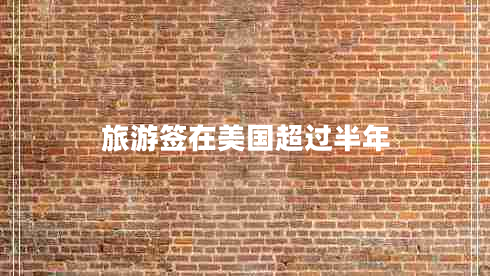 旅游簽在美國超過半年 旅游簽在美國超過半年