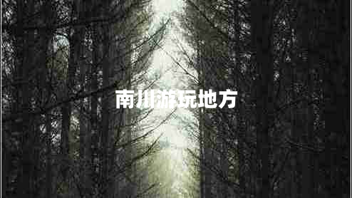 南川游玩地方 南川游玩地方