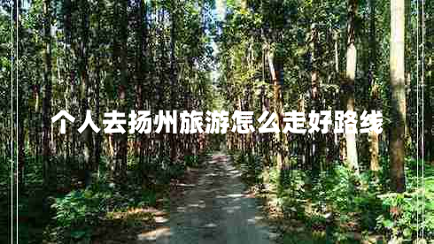 個人去揚(yáng)州旅游怎么走好路線