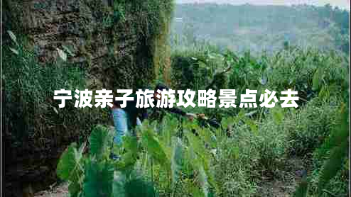 寧波親子旅游攻略景點(diǎn)必去 寧波親子旅游攻略景點(diǎn)必去