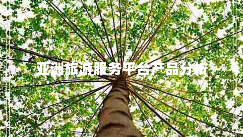 亞洲旅游服務平臺產(chǎn)品分析