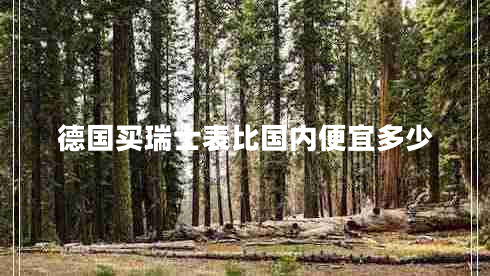 德國(guó)買(mǎi)瑞士表比國(guó)內(nèi)便宜多少