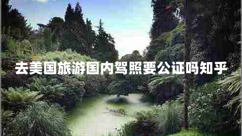 去美國旅游國內(nèi)駕照要公證嗎知乎