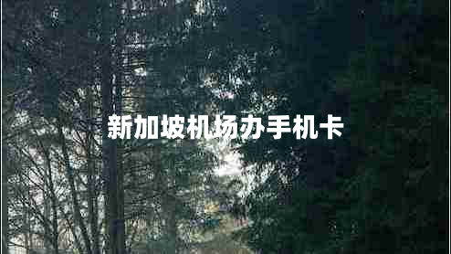 新加坡機(jī)場(chǎng)辦手機(jī)卡 新加坡機(jī)場(chǎng)辦手機(jī)卡