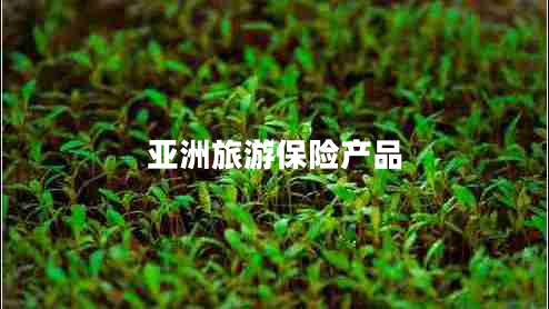 亞洲旅游保險(xiǎn)產(chǎn)品