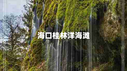 ?？诠鹆盅蠛? title=