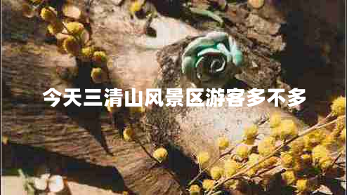 今天三清山風景區(qū)游客多不多