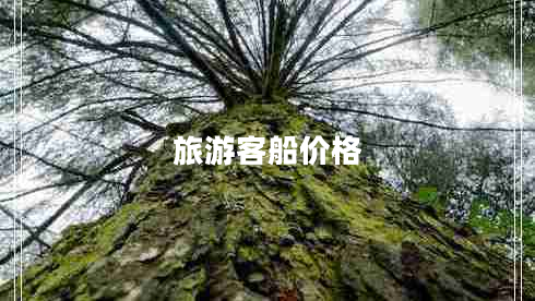 旅游客船價格