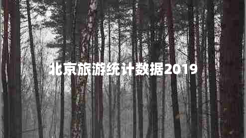 北京旅游統(tǒng)計(jì)數(shù)據(jù)2019
