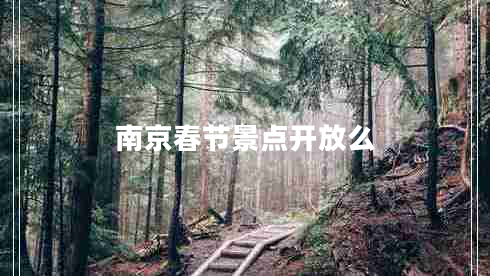 南京春節(jié)景點(diǎn)開放么