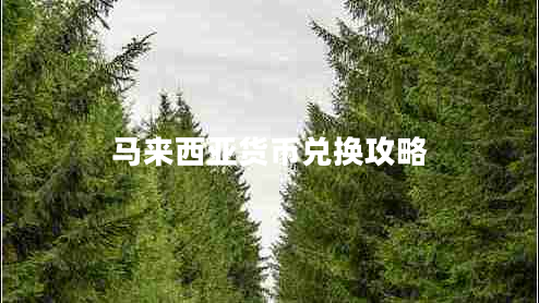 馬來西亞貨幣兌換攻略
