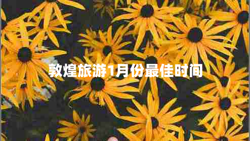 敦煌旅游1月份最佳時間