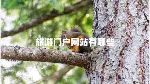旅游門戶網站有哪些