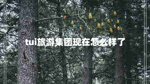 tui旅游集團(tuán)現(xiàn)在怎么樣了 tui旅游集團(tuán)現(xiàn)在怎么樣了