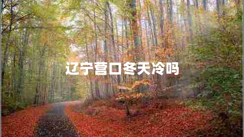 遼寧營口冬天冷嗎