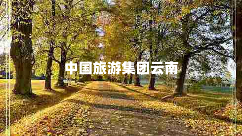 中國旅游集團(tuán)云南