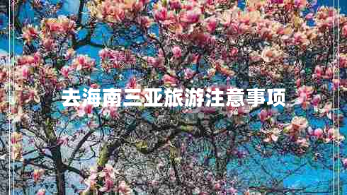 去海南三亞旅游注意事項(xiàng) 去海南三亞旅游注意事項(xiàng)