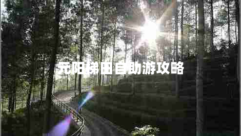 元陽梯田自助游攻略