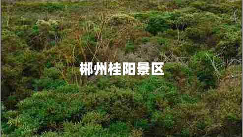 郴州桂陽(yáng)景區(qū)
