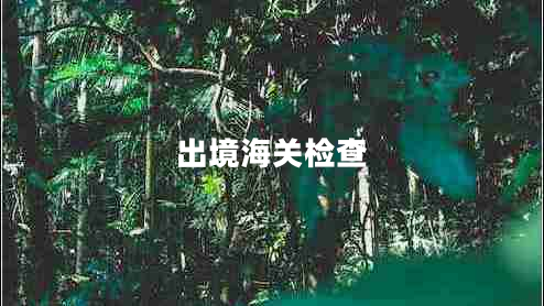 出境海關(guān)檢查 出境海關(guān)檢查