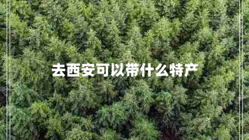 去西安可以帶什么特產