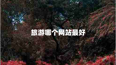 旅游哪個網(wǎng)站最好