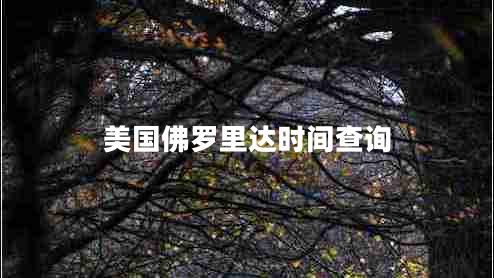 美國佛羅里達(dá)時(shí)間查詢