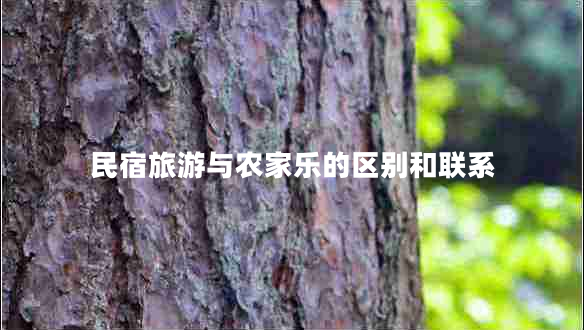 民宿旅游與農家樂的區(qū)別和聯(lián)系
