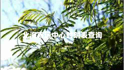 北?？瓦\中心時刻表查詢