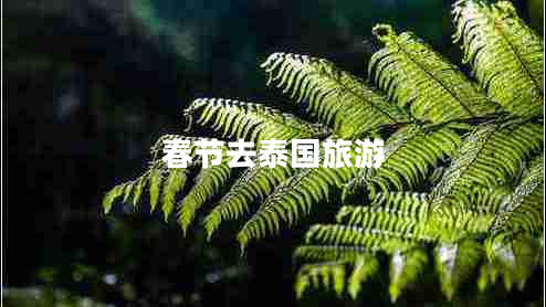 春節(jié)去泰國(guó)旅游