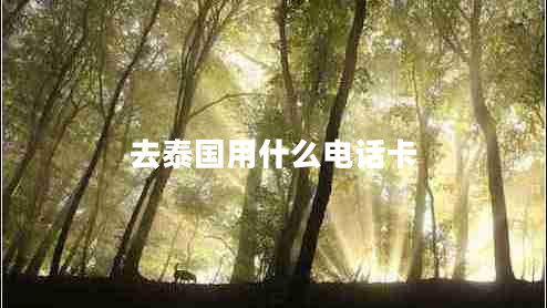 去泰國(guó)用什么電話卡