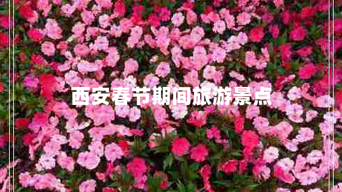 西安春節(jié)期間旅游景點