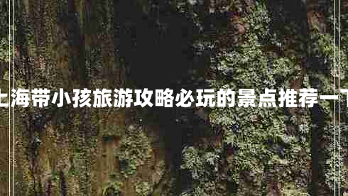 上海帶小孩旅游攻略必玩的景點推薦一下