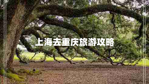 上海去重慶旅游攻略