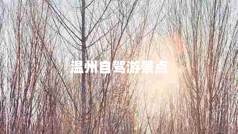 溫州自駕游景點
