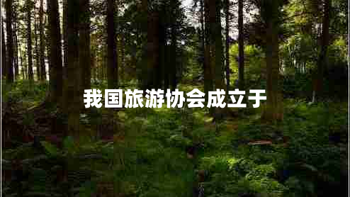 我國(guó)旅游協(xié)會(huì)成立于 我國(guó)旅游協(xié)會(huì)成立于