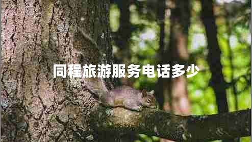 同程旅游服務電話多少